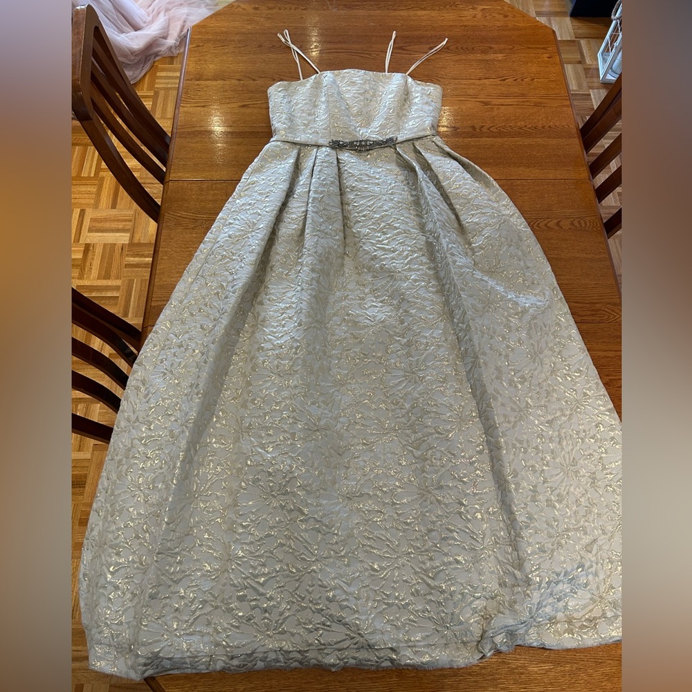 Theia Shimmering Silver Formal Dress